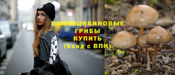 ECSTASY Армянск