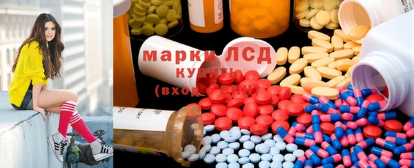 ГАЛЛЮЦИНОГЕННЫЕ ГРИБЫ Балахна