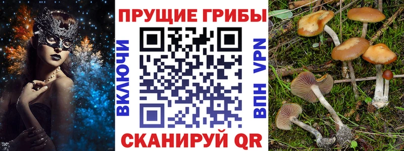 Галлюциногенные грибы Magic Shrooms  Белокуриха 